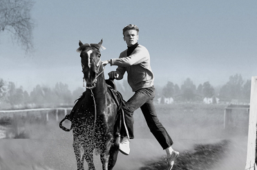 Tab%20horse